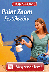 Paint Zoom